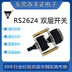 RS2624�p�娱_�P